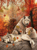 Волки и осень