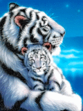 Белая тигрица с малышом