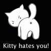 Kitty hates you!