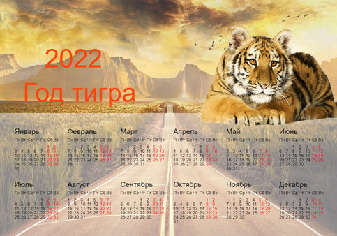Календарь на 2022 год - год тигра. Тигр смотрит в будущее