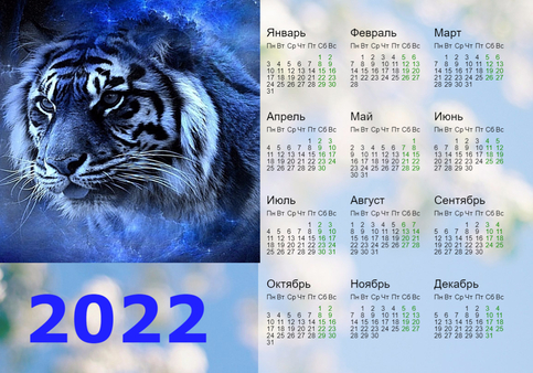 Календарь на 2022 год - год тигра. Тигр белый