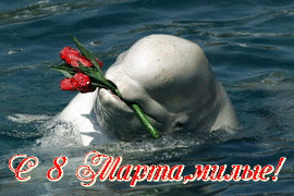 Поздравление  с 8 марта. Дельфин с цветами