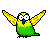 Желто-зеленый попугай расправил крылья