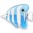 Бело-голубая рыба