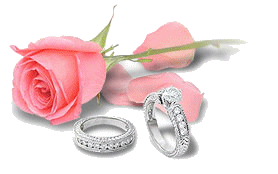 Обручальные кольца и роза