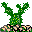 Зеленый кактус