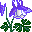 Голубой полевой цветок