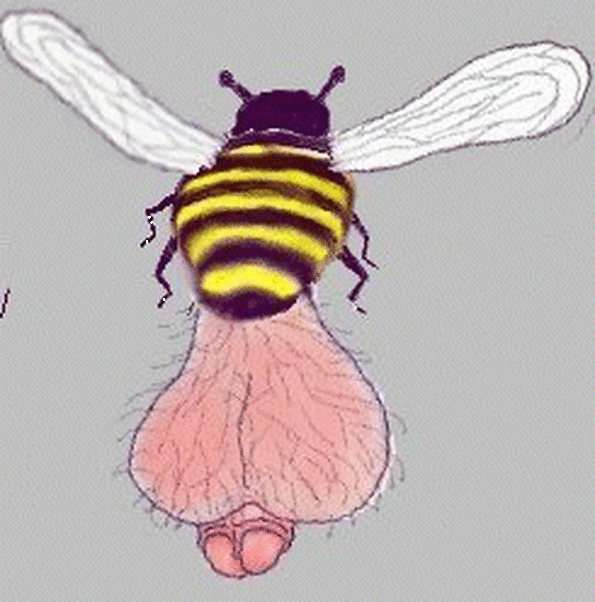 Пчела с большим достоинтвом